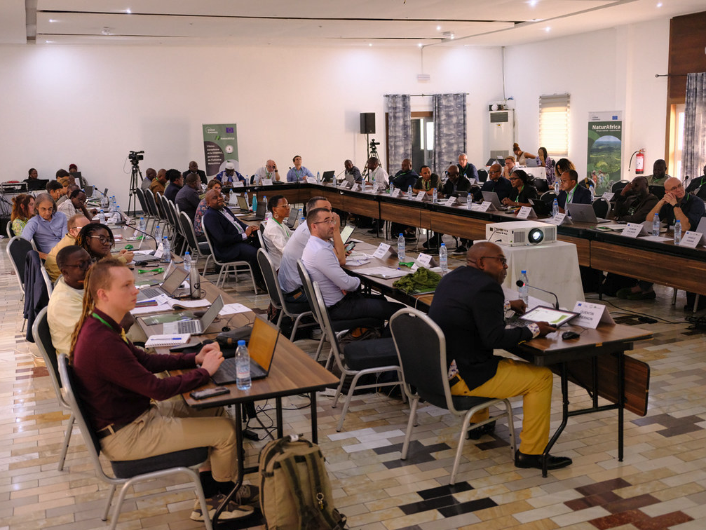 ​Réunion du comité d&apos;orientation stratégique, Douala, Day 1