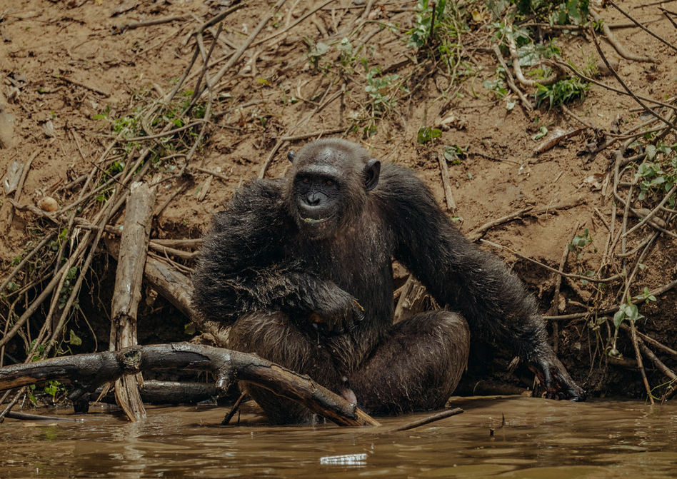 ​Réunion du comité d&apos;orientation stratégique, Douala, Day 2